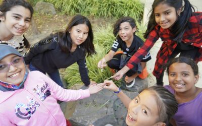 Superintendent of Schools, Beaverton School District  |  Beaverton, Oregon