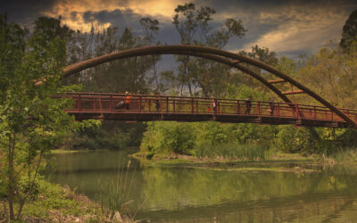 Superintendent of Schools  |  Los Gatos Union School District, Los Gatos, California