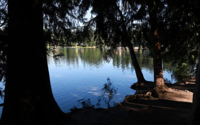 Associate Superintendent of Financial Services |  Lake Washington School District, Redmond, Washington